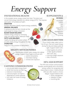 Internal Health, Functional Health, Healthy Wealthy, Storage Inspiration, Nutritional Therapy, Energy Foods, Everyday Health, Bug Spray, Tasty Foods