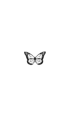 a black and white photo of a butterfly