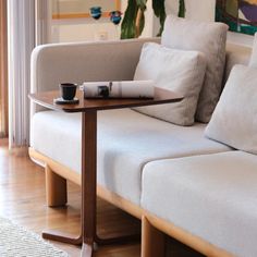 a living room with a couch, coffee table and potted plant