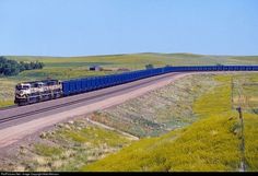 a train traveling down tracks next to a lush green field with yellow flowers on the side