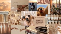 collage of photos with dog, books, and other things to see on the page