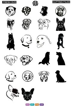 Files can be used as clip art for scrap Dog and other applications! and use any other Printing Media. Silhouette Design instant DIGITAL DOWNLOAD file to be cut out with an Silhouette or other electronic cutting machine that accepts one of the following file formats: svg jpeg pdf png eps dxf

This listing is for a digital file ONLY. Not for a physical product. Once you will complete purchase, files are ready to download and it just up to 5 mins to complete all process. Silhouette Dog, Decal Ideas, Dog Svg, Dog Silhouette, Free Dogs, Dog Images, Amazon Handmade