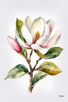 a watercolor painting of a white and pink flower on a branch with green leaves