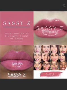 Lipsense Sassy Z, Luv It Lipsense, House Of Colour, Makeup Collage, Matte Pink, Rosy Pink