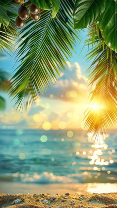 the sun shines brightly through palm leaves over an ocean beach with blue sky and white clouds