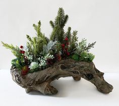 a piece of driftwood with plants and pine cones on the top is sitting on a white surface