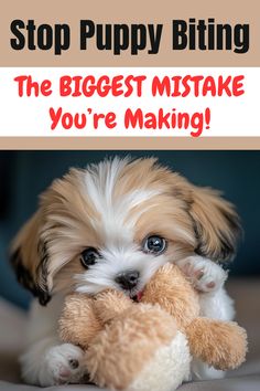 If you're struggling to stop your puppy from biting, you're likely making a very common mistake that most puppy owners make!

Read my post (includes video!) to learn exactly how to stop puppies from biting quickly, easily, and in a kind way.