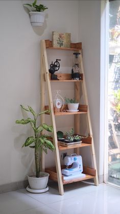 a wooden shelf with plants and other items on it next to a potted plant