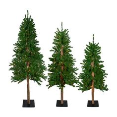 three small christmas trees with lights on them