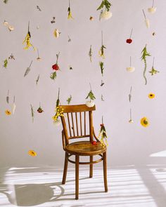 Фотостудия Studio Photography With Flowers, Background Ideas For Photoshoot At Home, Hanging Flowers Photoshoot, Prop Ideas For Photoshoot, Photo Set Up Ideas, Flower Background Photoshoot, Studio Setup Photography, Photoshoot Wall, Photoshoot Backdrops