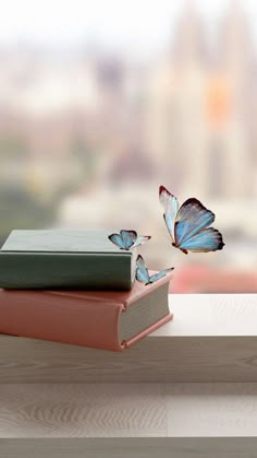 two butterflies flying over books on a window sill