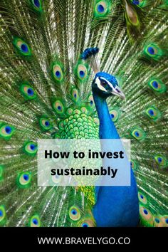 How to invest sustainably
Money, budget finance, finance budgeting, finance tips, finance saving, finance investing, finance organization, finances and savings, finance debt, finance goals, finance personal, finance Money Budget, Finance Goals, Investing 101, Investment Accounts, Company Work, Finance Organization, Finance Investing, Finance Saving