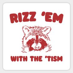 a raccoon with the words rizz'em with the tism