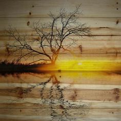 a painting of a tree with the sun setting in the background on a wooden wall