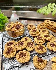 some cookies are sitting on a cooling rack next to a glass bowl with chocolate chips in it