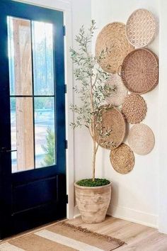 a potted plant in front of a door with wicker circles hanging on the wall