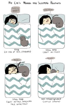 a comic strip with an image of a person sleeping in bed and the caption says,