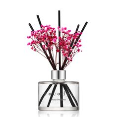 cocodor Preserved Real Flower Diffuser 200ml Rose Perfume Cocodor oil reed diffuser refill fragrance Flower Diffuser, Reed Diffuser Sticks, Centifolia Rose, Musk Scent, Perfume Diffuser, Rose Scent, Mood Lamps, Diffuser Sticks, Diffuser Bottle