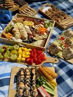 several trays of food on a picnic blanket