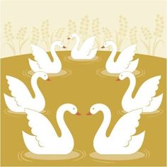 three white swans swimming in the water with their necks crossed and wings spread out, looking at each other