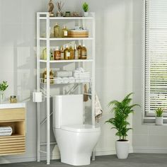 a white toilet sitting in a bathroom next to a shelf filled with bottles and plants