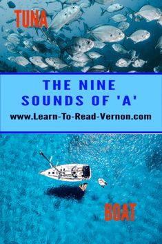 a boat floating in the ocean next to a large group of fish