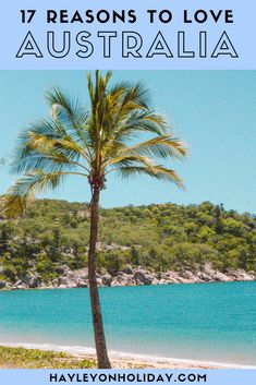 a palm tree on the beach with text overlay that reads 17 reasons to love australia