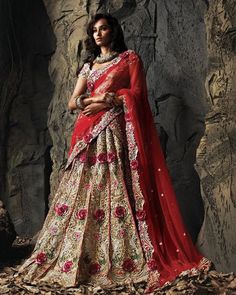 Saree For Mother, Indian Wedding Saree, Bride 2024, South Indian Wedding Saree, Sari Lehenga, Lehenga Style Saree, Indian Wedding Lehenga, Ritu Kumar