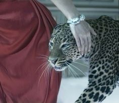 a woman in a red dress petting a leopard