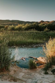 there is a small pool in the middle of some grass and bushes next to it