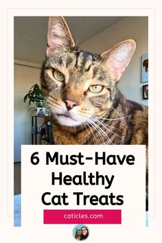 a cat with the words 6 must have healthy cat treats on it's face