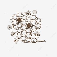 honeycombs and bees on a white background, illustration, drawing png and psd