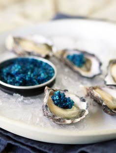 several oysters on an ice covered plate with blue glitter in the middle and one shell partially open