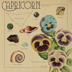 an old book with flowers and other things on the cover that are labeled as capricorn