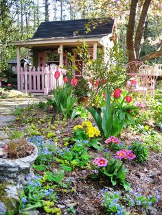 the garden is full of colorful flowers and plants