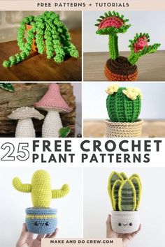 25 free crochet plant patterns for beginners to make with the help of handmade