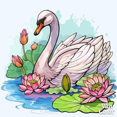 a white swan floating on top of a lake surrounded by water lilies and pink flowers