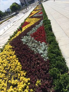 colorful flowers are arranged in the shape of a flag on a sidewalk near a building