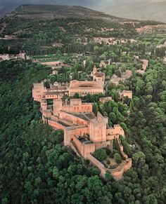 an aerial view of a castle surrounded by trees