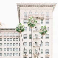 two palm trees are in front of a building with balconies on the windows