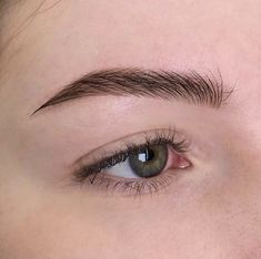 Upward Brows, Soft Angled Eyebrows, Soft Arch Eyebrows, Neat Eyebrows, Small Eyebrows, Clean Eyebrows, Red Eyebrows, Fuller Eyebrows, Straight Eyebrows