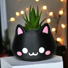 a potted plant with a cat face painted on it