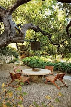 an outdoor table and chairs under a tree