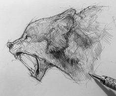 a pencil drawing of a bear's head with it's mouth wide open