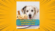 a dog is looking at the camera with his birthday cake in front of him