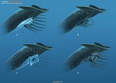 an artist's rendering of some type of fish in the ocean with different stages of development