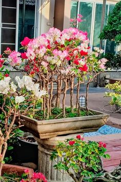 some pink and white flowers are in a planter