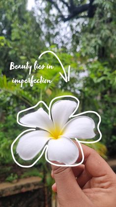 a person holding up a white flower with the words beauty is in imperfect reflection above it