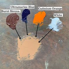 four different colors of paint are shown in the shape of an animal's paw