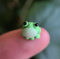 a tiny green frog sitting on top of a persons finger